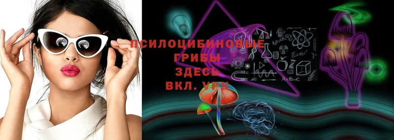 купить наркотики цена  Константиновск  Псилоцибиновые грибы MAGIC MUSHROOMS 